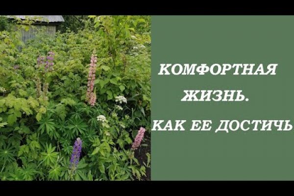 Как купить наркотик в кракен