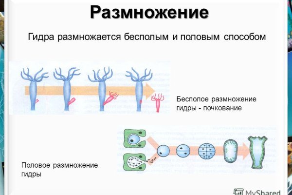 Кракен сайт kr2web in официальный ссылка